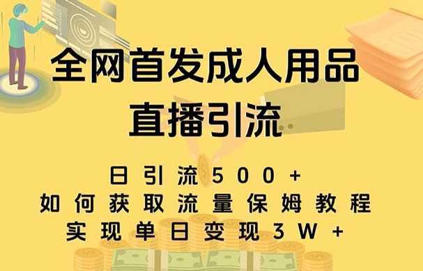 最新全网独创首发,成人用品直播引流获客暴力玩法,单日变现3w保姆级教程