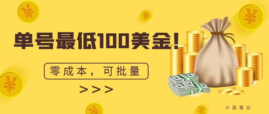 单号最低100美金,零成本,小白无脑操作。可复制,可扩大。