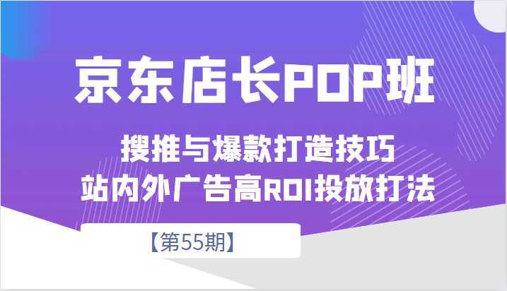 京东店长POP班【第55期】,京东搜推与爆款打造技巧,站内外广告高ROI投放打