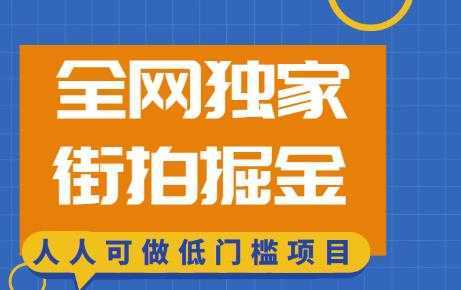 全网独家一街拍掘金,低门槛人人可做的赚钱项目【揭秘】