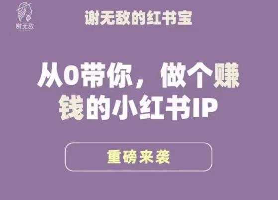 谢无敌·小红书运营大宝典,从0带你做个赚钱的小红书IP