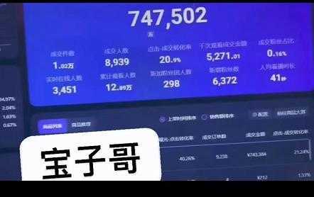 宝子哥无人直播,半无人直播,Obs+伴侣玩法,快速打标签+养鱼