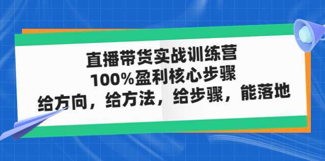 直播带货实战训练营:100%盈利核心步骤,给方向,给方法,给步骤,能落地