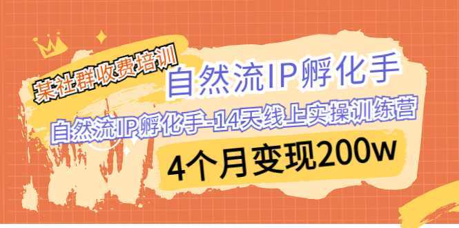 某社群收费培训:自然流IP 孵化手-14天线上实操训练营 4个月变现200w