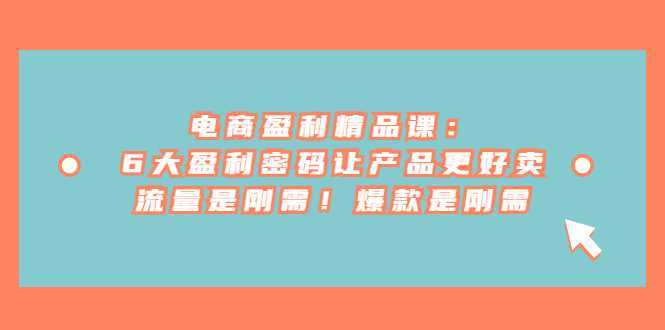 电商 盈利精品课:6大盈利 密码让产品更好卖,流量是刚需!爆款是刚需