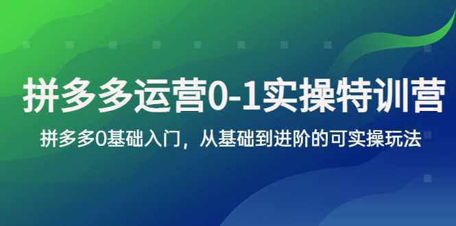 拼多多-运营0-1实操训练营,拼多多0基础入门,从基础到进阶的可实操玩法
