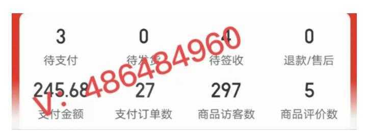 拼多多虚拟开店打卡群:入门到精通2月26更新