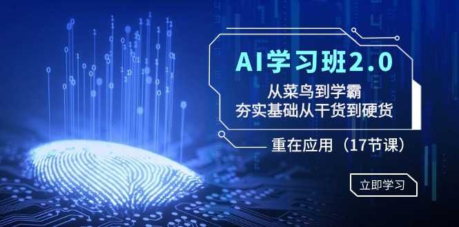 AI学习班2.0:从菜鸟到学霸,夯实基础从干货到硬货,重在应用