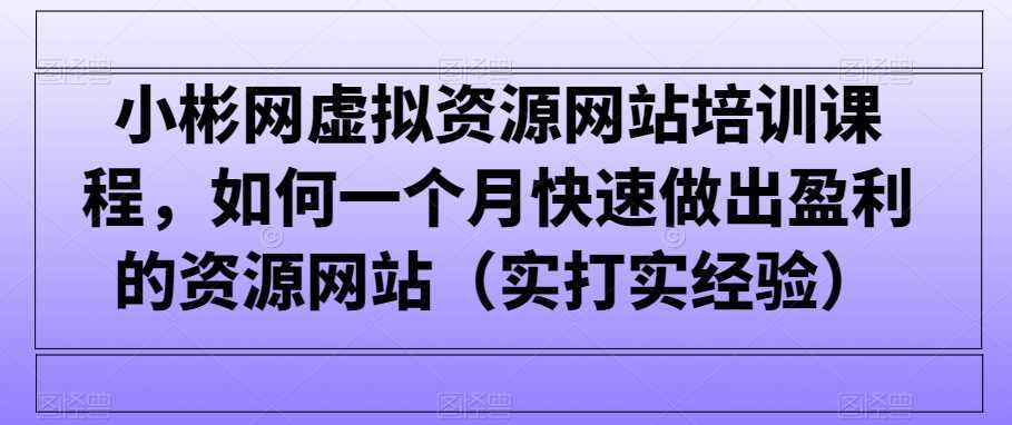 小彬网虚拟资源网站培训课程,如何一个月快速做出盈利的资源网站