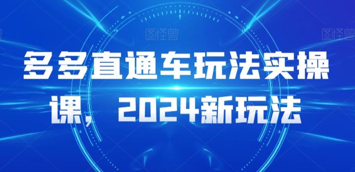 多多直通车玩法实操课,2024新玩法