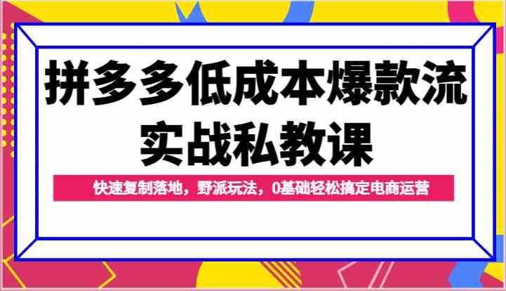 拼多多低成本爆款流实战私教课,快速复制落地,野派玩法,0基础轻松搞定电商运营