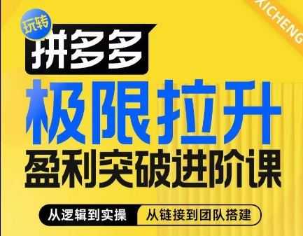 拼多多极限拉升盈利突破进阶课,从算法到玩法,从玩法到团队搭建,体系化系统性帮助商家实现利润提升