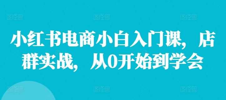 小红书电商小白入门课,店群实战,从0开始到学会