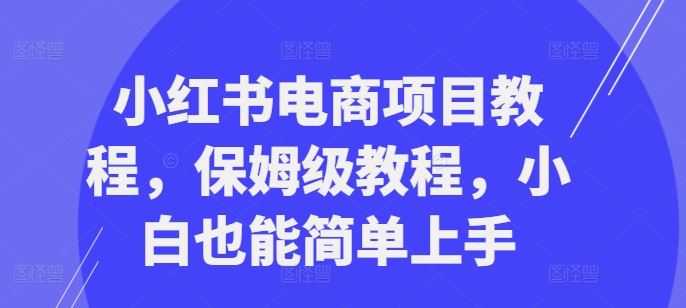 小红书电商项目教程,保姆级教程,小白也能简单上手