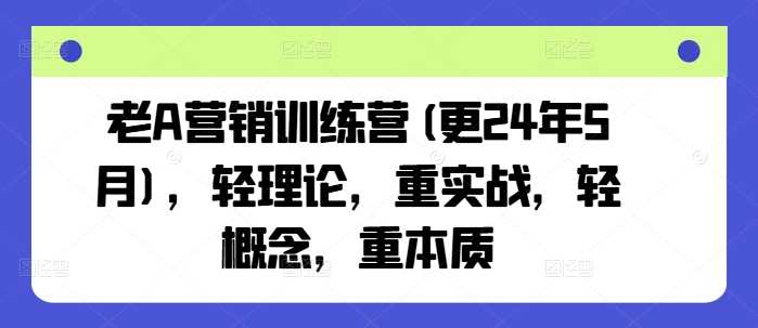 老A营销训练营(更24年11月),轻理论,重实战,轻概念,重本质