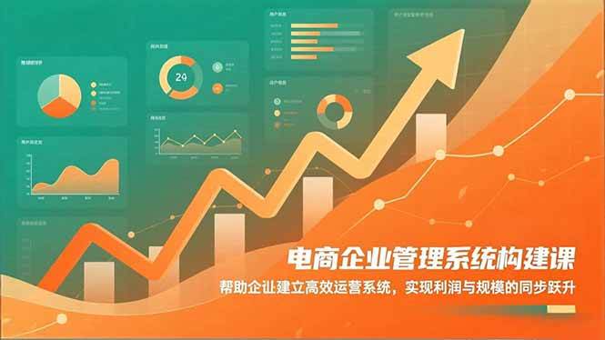 电商企业管理系统构建课:帮助企业建立高效运营系统,实现利润与规模的同步跃升