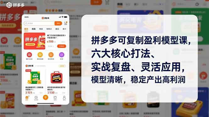 拼多多可复制盈利模型课,六大核心打法、实战复盘、灵活应用,模型清晰,稳定产出高利润