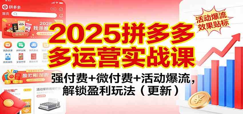 2025拼多多运营实战课:强付费+微付费+活动爆流,解锁盈利玩法