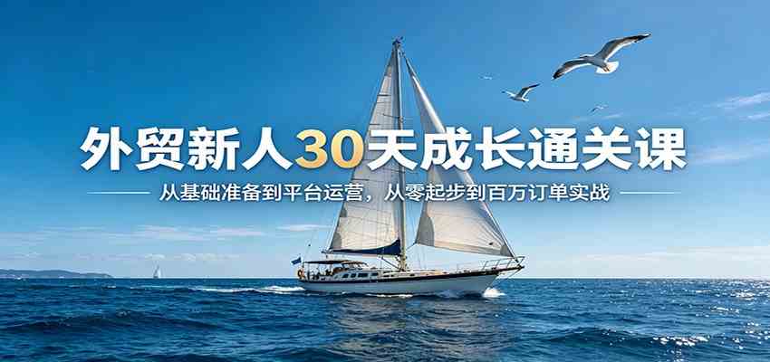 外贸新人30天成长通关课:从基础准备到平台运营,从零起步到百万订单实战