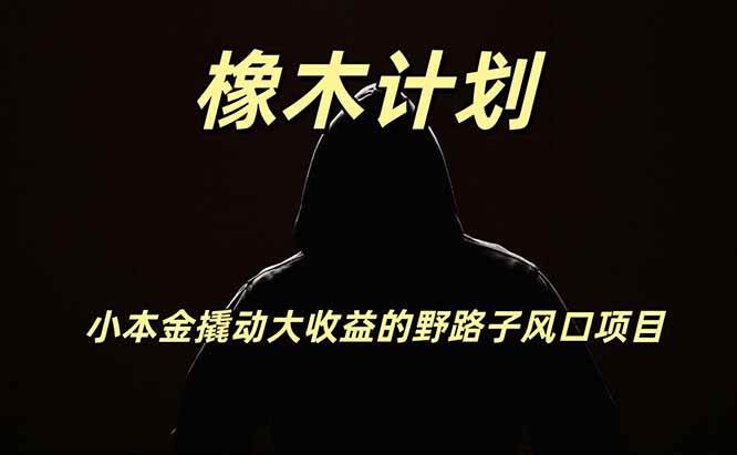 橡木计划,小投入撬动高回报的风口野路子项目,一天投入2小时左右