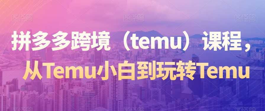 拼多多跨境课程，从Temu小白到玩转Temu