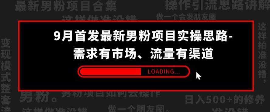 9月首发最新男粉项目实操思路-需求有市场，流量有渠道【揭秘】