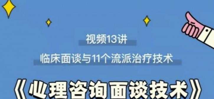 心理咨询面谈技术课理论讲授+案例实录+解释点评视频