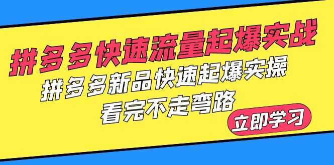 拼多多-快速流量起爆实战，拼多多新品快速起爆实操，看完不走弯路