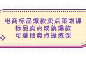 电商标品爆款卖点策划课,标品卖点成就爆款,可落地卖点提炼课