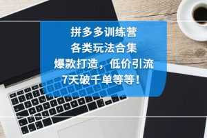 拼多多训练营:各玩法合集,爆款打造,低价引流,7天破千单等等