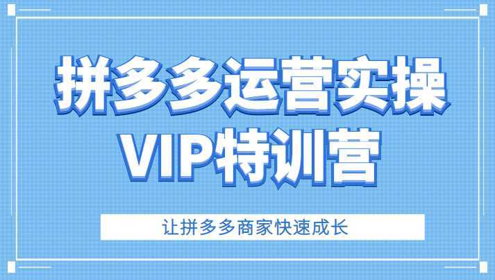 拼多多运营实操VIP特训营，让拼多多商家快速成长