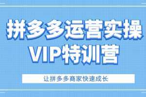 拼多多运营实操VIP特训营,让拼多多商家快速成长