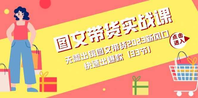 图文带货实战课:无需出镜图文带货2023新风口,快速出爆款