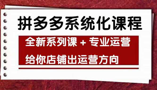 车神陪跑,拼多多系统化课程,全新系列课+专业运营给你店铺出运营方向