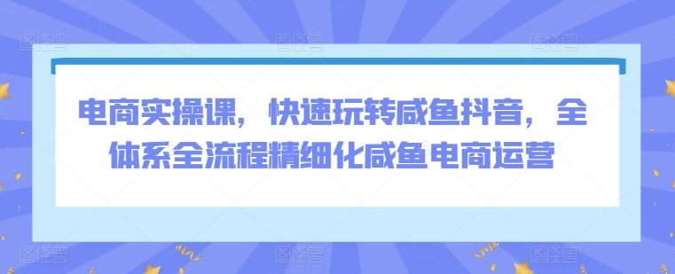 电商实操课,快速玩转咸鱼抖音,全体系全流程精细化咸鱼电商运营