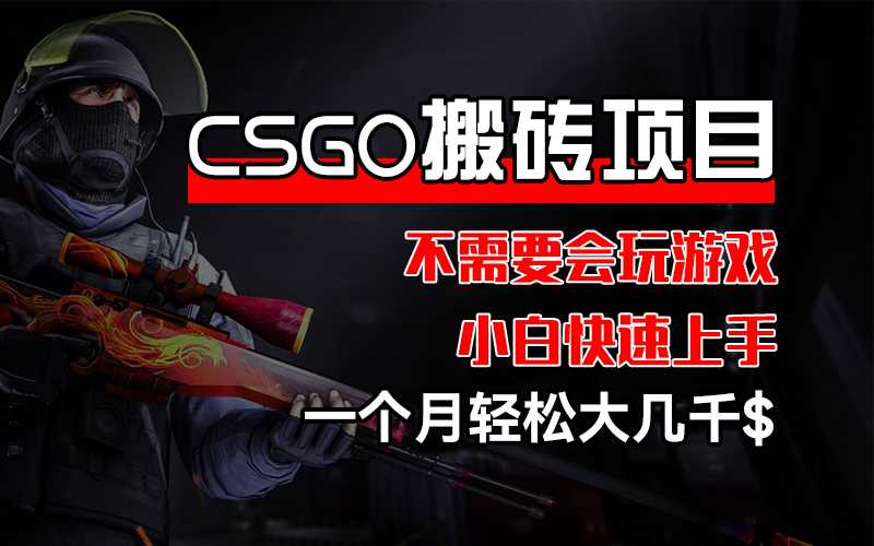 CSGO 装备搬砖项目，操作简单，不需要会玩游戏，小白也能快速上手，一&#8230;