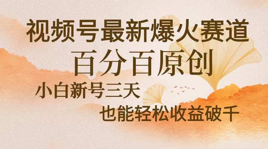 视频号最新爆火赛道，中老年粉深信不疑，百分百原创，新号三天收益轻松&#8230;