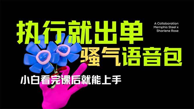 爆火全网的开车导航骚气语音包,只要执行就出单，小白看完课程就能实操&#8230;