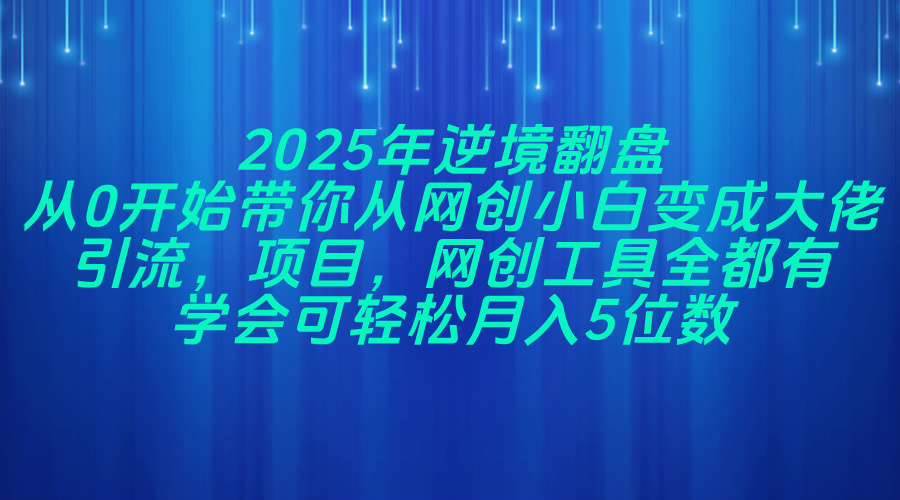 2025年逆境翻盘，从0开始带你从网创小白变成大佬，引流，项目，网创工&#8230;