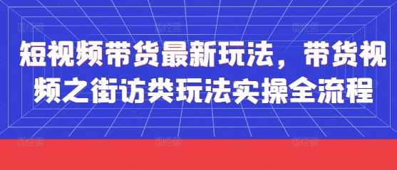 短视频带货最新玩法,带货视频之街访类玩法实操全流程