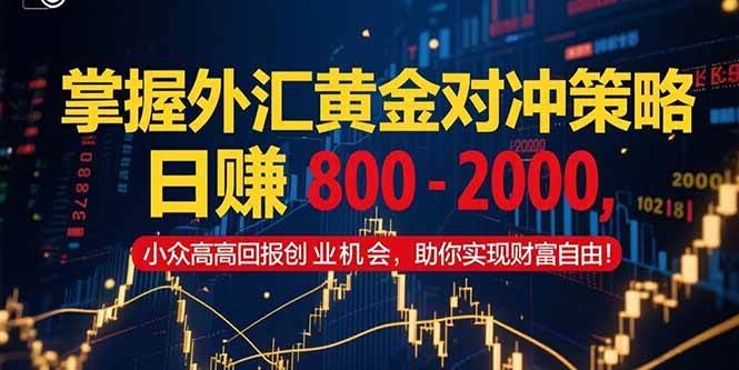 掌握外汇黄金对冲策略，日赚 800 &#8211; 2000，小众高回报创业机会，助你实&#8230;