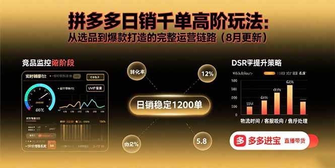 拼多多日销千单高阶玩法:从选品到爆款打造的完整运营链路