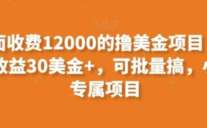 外面收费12000的撸美金项目，单日收益30美金+，可批量搞，小白专属项目