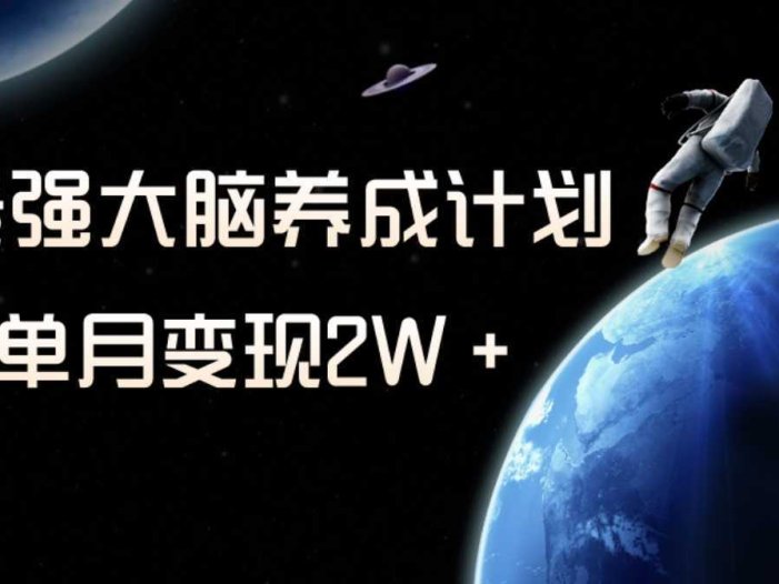 冷门虚拟项目，最强大脑养成计划，一个月变现2W＋