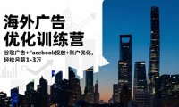 海外广告优化训练营：谷歌广告+Facebook投放+账户优化，轻松月薪1-3万