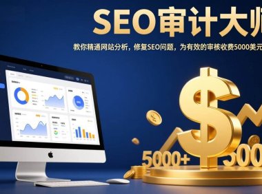 SEO审计大师：教你精通网站分析，修复SEO问题，为有效的审核收费5000美元以上！