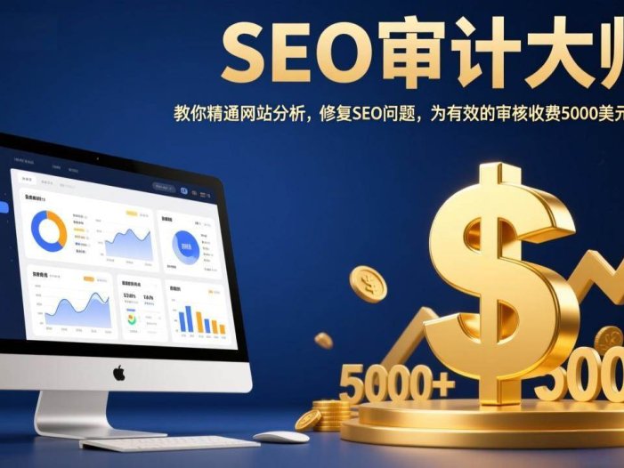 SEO审计大师：教你精通网站分析，修复SEO问题，为有效的审核收费5000美元以上！