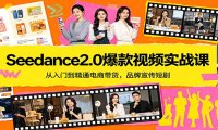 Seedance2.0爆款视频实战课：从入门到精通电商带货，品牌宣传短剧